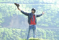 Nikhil Stills in Disco